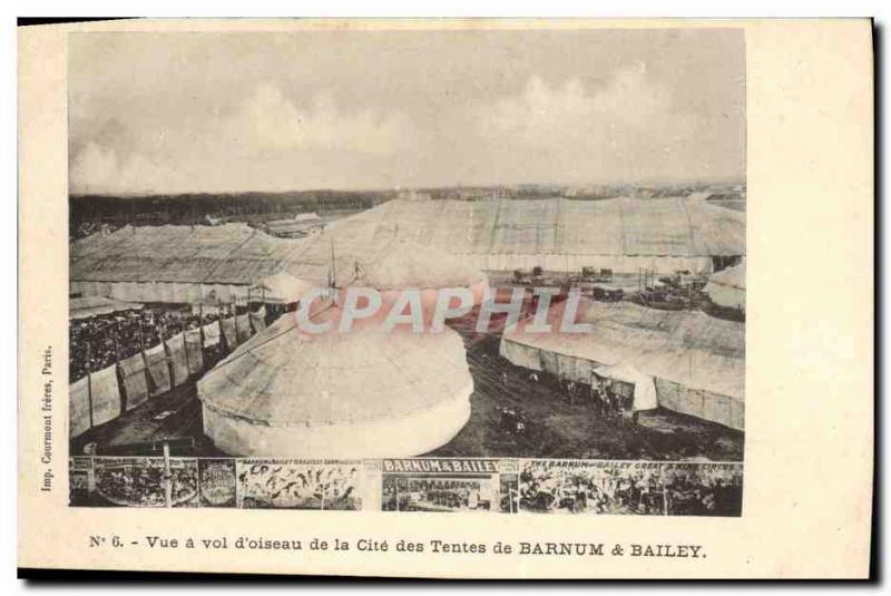 Vintage Postcard Vue has flight of bird of the ISCED of the