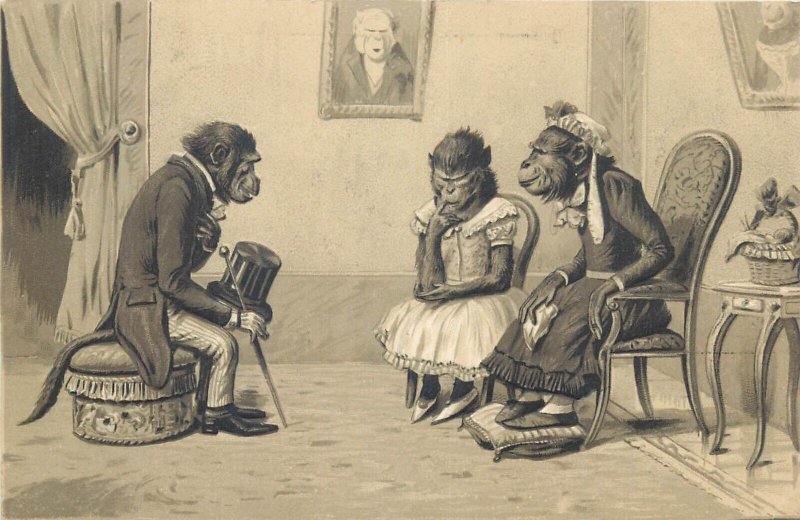 Humanized embossed comic monkeys caricature humor 1900s vintage postcards