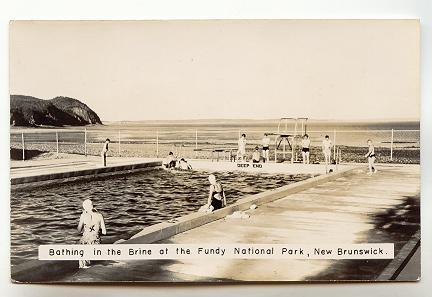 Real Photo Swimmers Bathing in the Brine, Fundy National Park, New Brunswick