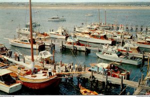 Rhode Island Narragansett Tuna Derby At Galilee