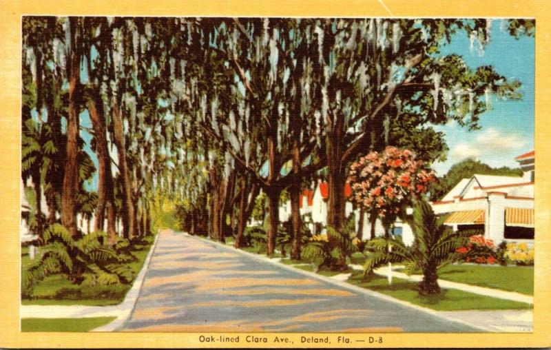 Florida Deland Oak Lined Clara Avenue 1947 Dexter Press