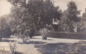 RP: Large Cactus in front Houses, Alpine, California, 1913 PU