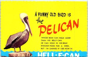 Postcard - A Funny Old Bird is the Pelican