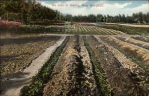 Scene Near Kougarek AK c1910 Postcard