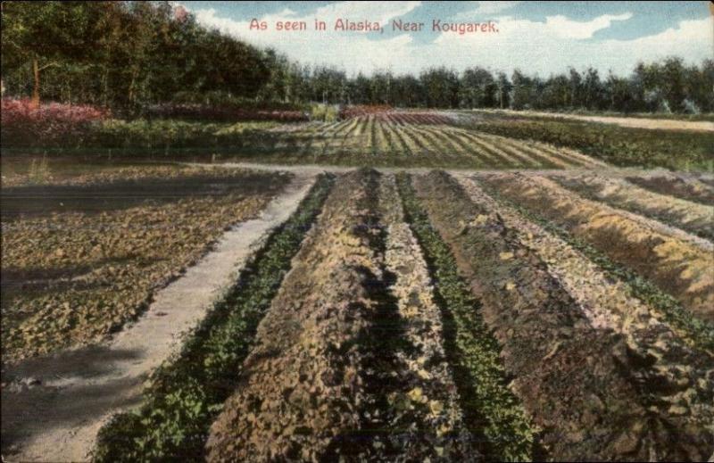 Scene Near Kougarek AK c1910 Postcard