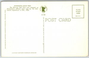 Minnesota 1950s Postcard State Tree Norway Red Pine Van
