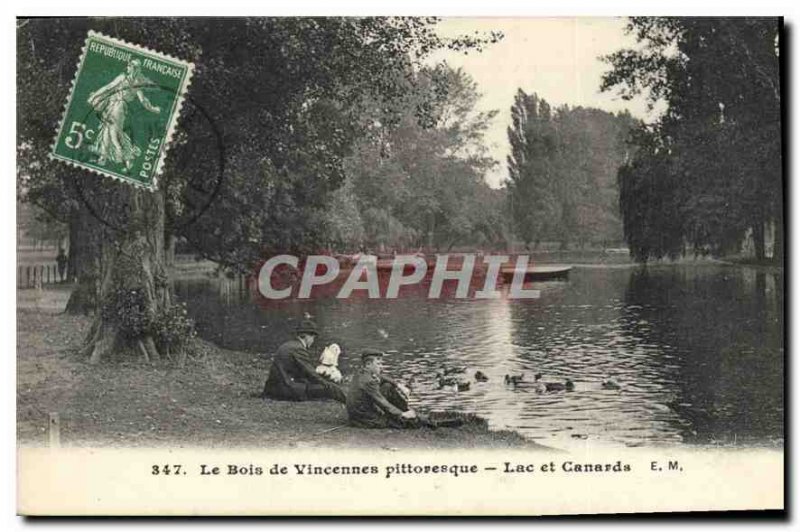 Old Postcard Bois de Vincennes picturesque Lake and Ducks