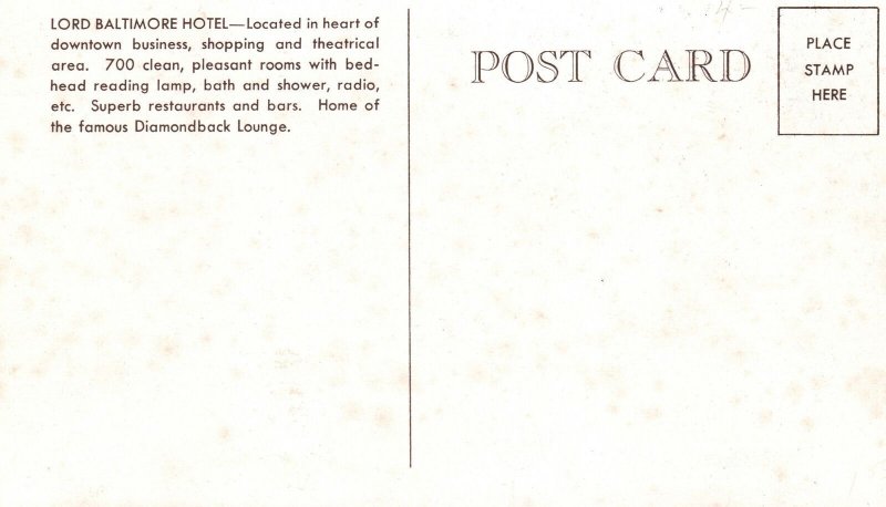 Maryland's Finest Address The Lord Baltimore Hotel MD Vintage Postcard