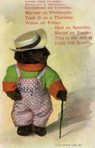 1907 Fred Cavally Teddy Bear Grundy Anthropomorphic Vintage Postcard P118 