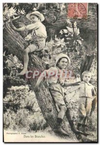 Old Postcard Children in branches