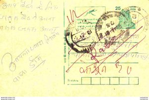 India Postal Stationery Tiger 25 Jaipur cds