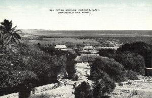 curacao, N.W.I., WILLEMSTAD, San Pedro Springs (1940s) Kropp 19932 Postcard