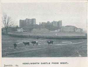 Kenilworth Castle Cows Norfolk Education Committee Rare Photo