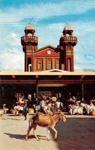 PORT-AU-PRINCE, Haiti West Indies  IRON MARKET~RIDING DONKEY? Chrome Postcard