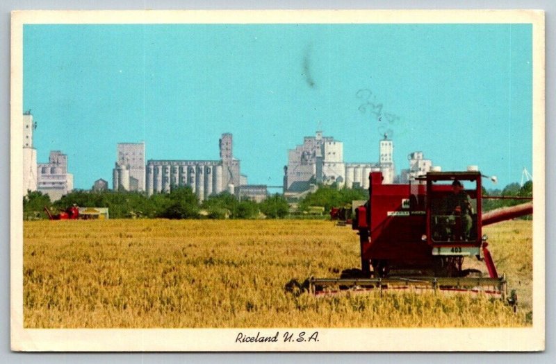 1975  Rice Harvesting  Arkansas    Postcard