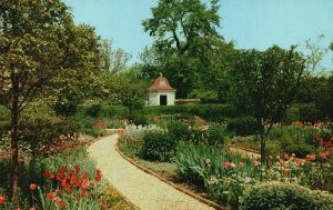 Vintage Postcard The Flower Garden At Mount Vernon Virginia VA Pub Walter Miller