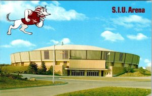 IL, Carbondale  SIU ARENA~Southern Illinois University  SALUKI MASCOT   Postcard