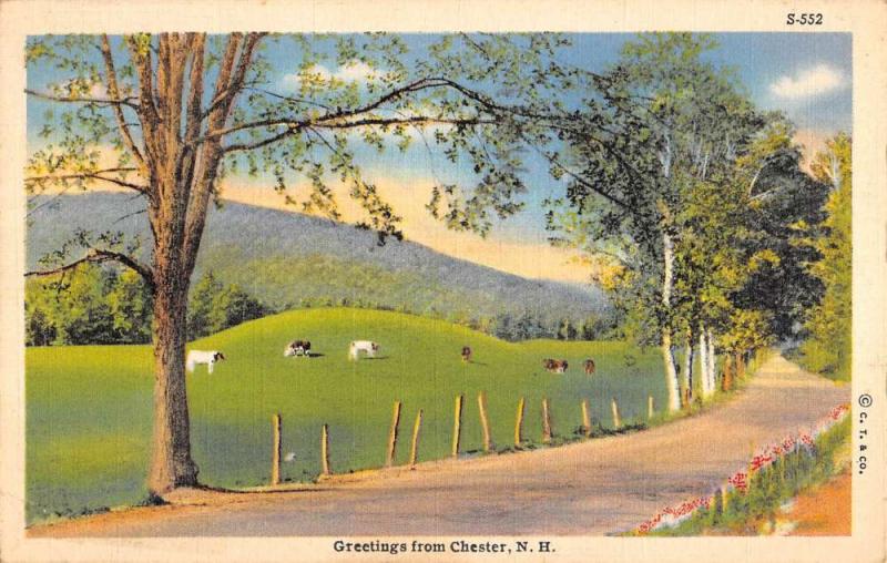 Chester New Hampshire Scenic Roadway Greeting Antique Postcard K96520