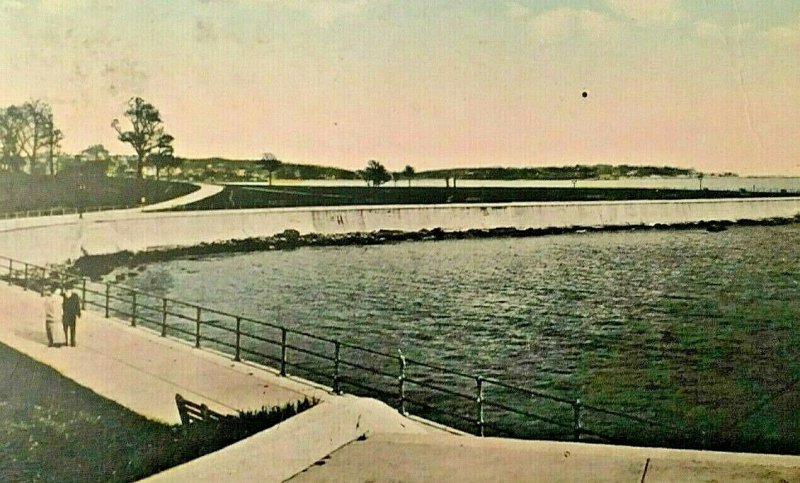 Postcard  Antique View of Lynn Shore Drive in Lynn, MA.  U2