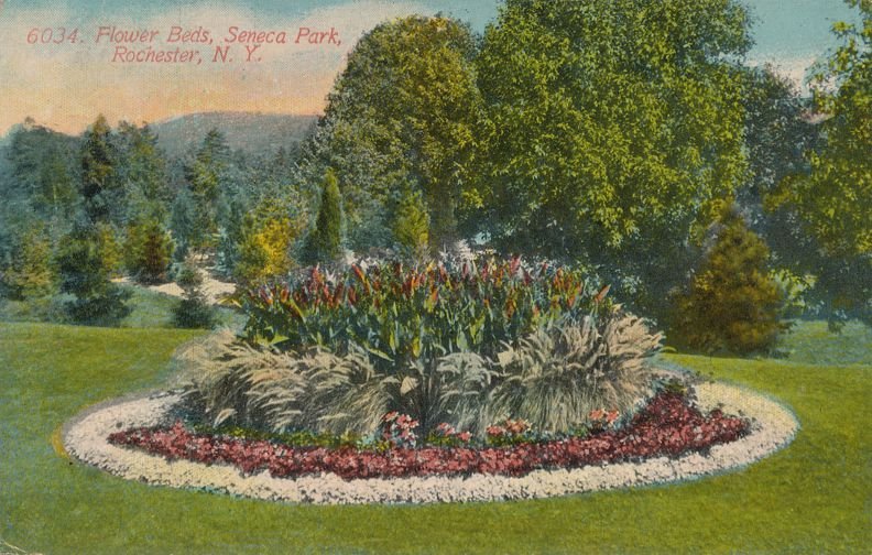 Seneca Park, Rochester, New York - Flower Beds - pm 1913 - DB