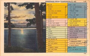 Tompkinsville Maryland Greetings Check List Vintage Postcard AA84111