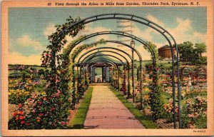 New York Syracuse Thornden Park Mills Rose Garden The Arbor 1939 Curteich