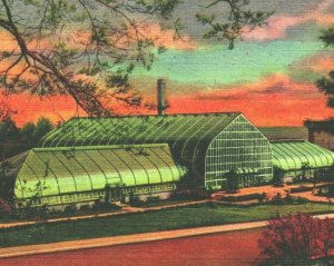 Cincinnati Ohio OH Conservatory at Eden Park UNP Vtg Linen Postcard Curteich