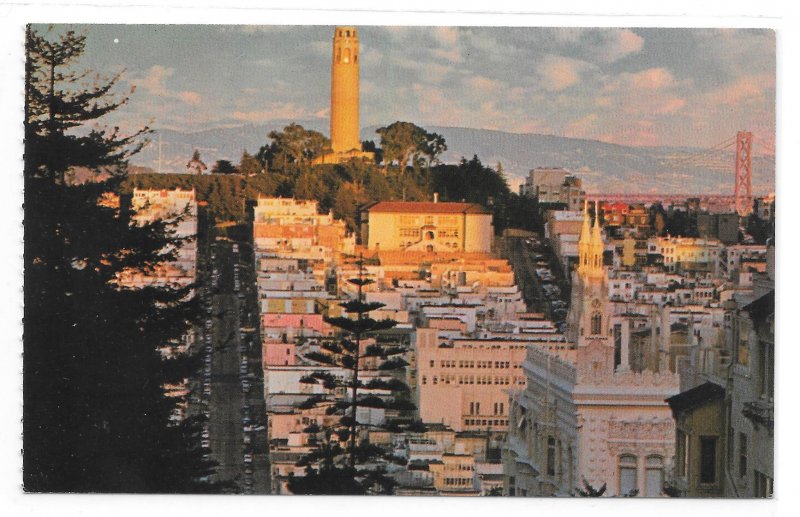 San Francisco CA Aerial View Telegraph HIll Coit Tower The Gray Line Postcard