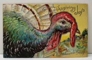 Thanksgiving Joy An American Beauty Silver Embossed Turkey Postcard F9