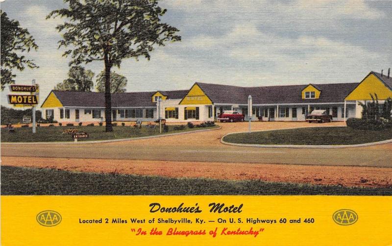 Kentucky Ky Postcard Linen Roadside SHELBYVILLE Donohue's Motel Building