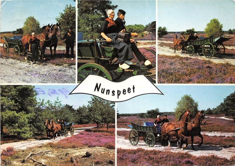 B48149 Nunspeet horses with carriage chevaux avec charets multiviews  netherland