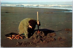 VINTAGE POSTCARD DIGGING FOR CLAMS ON THE PACIFIC COAST BEACHES