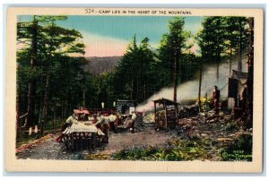 c1940's Camp Life In The Heart Of Mountains Asheville North Carolina NC Postcard