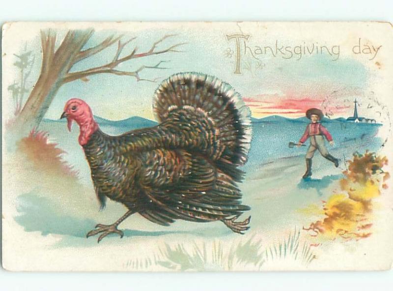 Divided-Back THANKSGIVING SCENE Great Postcard AA0481