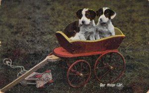 c.'1909, Cute Dogs in Wagon,  Message, Morgantown, WV, Old Postcard
