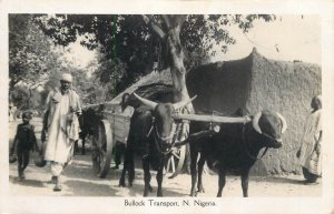 Bullock transport North Nigeria real photo postcard