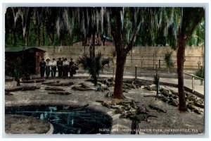 c1950's Scene On Florida Alligator Farm Pond Tourists Jacksonville FL Postcard 