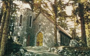 USA Shrine Island Alaska Chrome Postcard 08.20