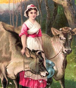 1880s Marlow Cheshire Co. H. Towne Dr. Jayne's Expectorant Lady Cows F121