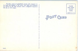 1930-1945 Grapefruit & Blossoms, Florida