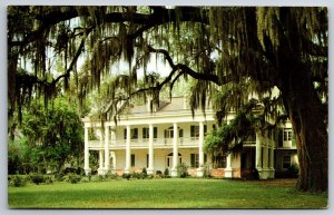 Baton Rouge Louisiana~The Cottage Mansion & Spanish Moss Tree~Vintage Postcard