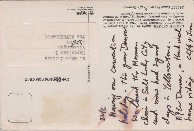 USA Castle Geyser Wyoming Vintage Postcard BS21