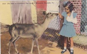 Virginia Roanoke Pet Deer At Children's Zoo On Mill Mountain