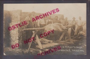 Clarks NEBRASKA RPPC c1910 ROASTING OX Cow Beef BARBEQUE BBQ nr Central City NE