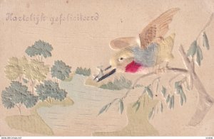 Hartelijk gefeliciteerd (Congrtulations) Embossed Kingfisher Bird on branch...