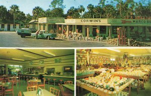 Everglades FL Royal Palm Hammock Corwin's Multi-View Postcard 