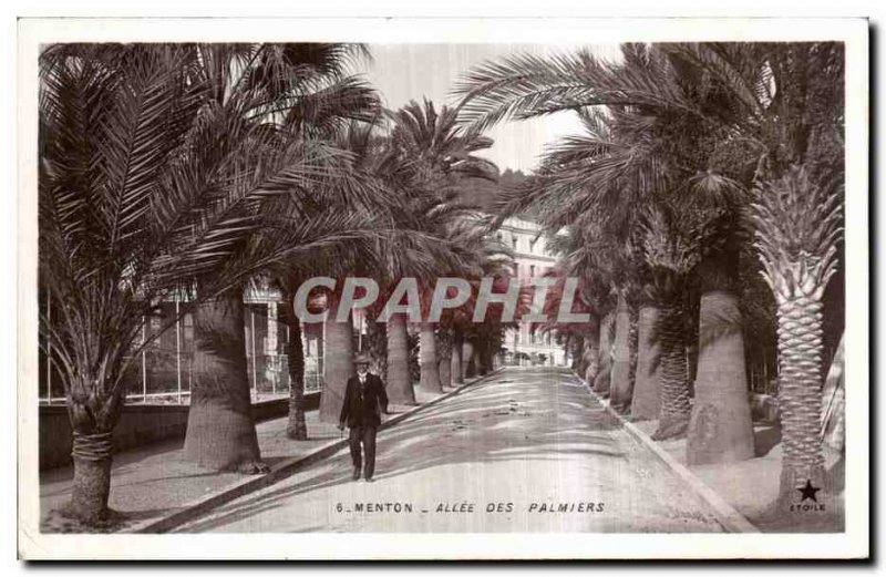 Old Postcard Menton Allee Des Palmiers