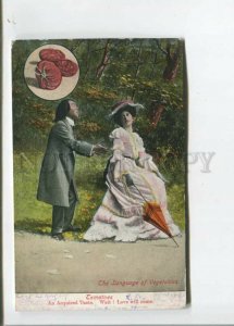 472076 LANGUAGE of Vegetables Tomatoes Lovers Vintage VALENTINE postcard