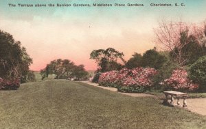 Vintage Postcard Terrace Sunken Gardens Middletown Charleston South Carolina SC