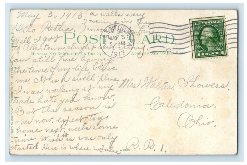 1913 West Park Allentown Pennsylvania PA Posted Antique Postcard 